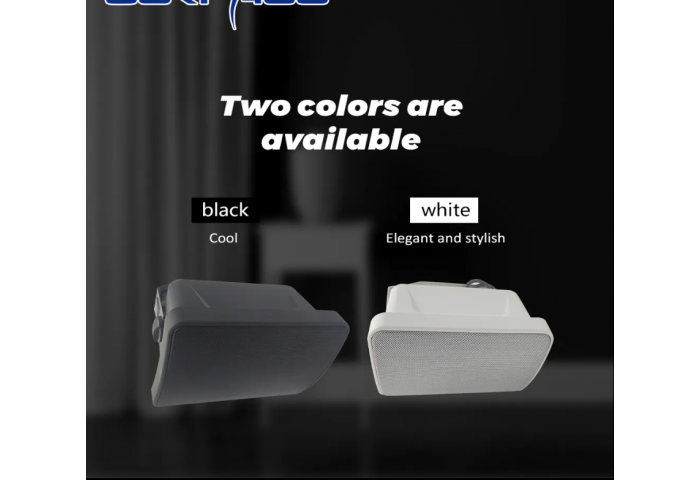 Loa treo tường ASG SP-WS420H